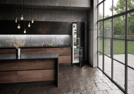 Холодильник Liebherr CBNbs 4878