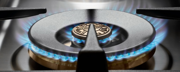 Варочный центр Bertazzoni PRO1206GMFEDXT